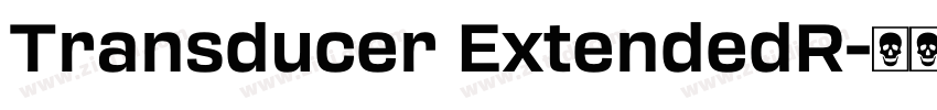 Transducer ExtendedR字体转换